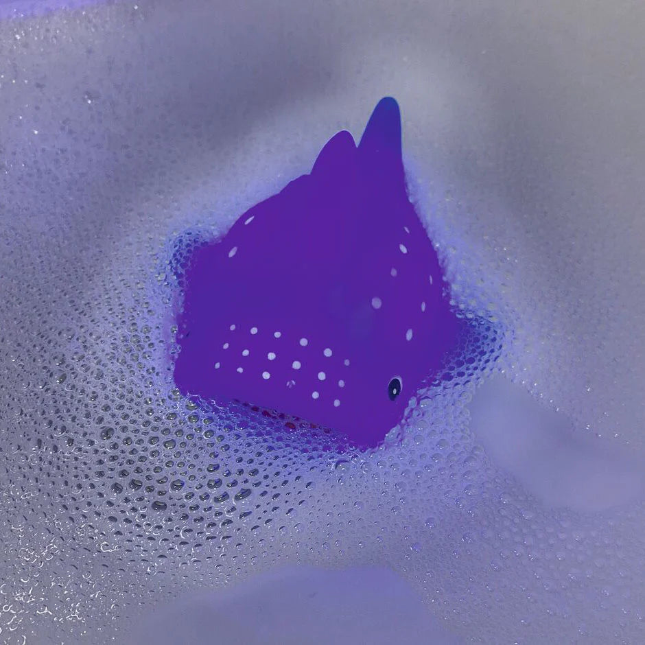 Juguetes Luminosos para la Bañera - Animales marinos
