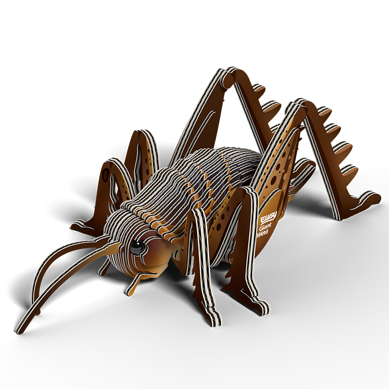 Animales 3D - Insectos