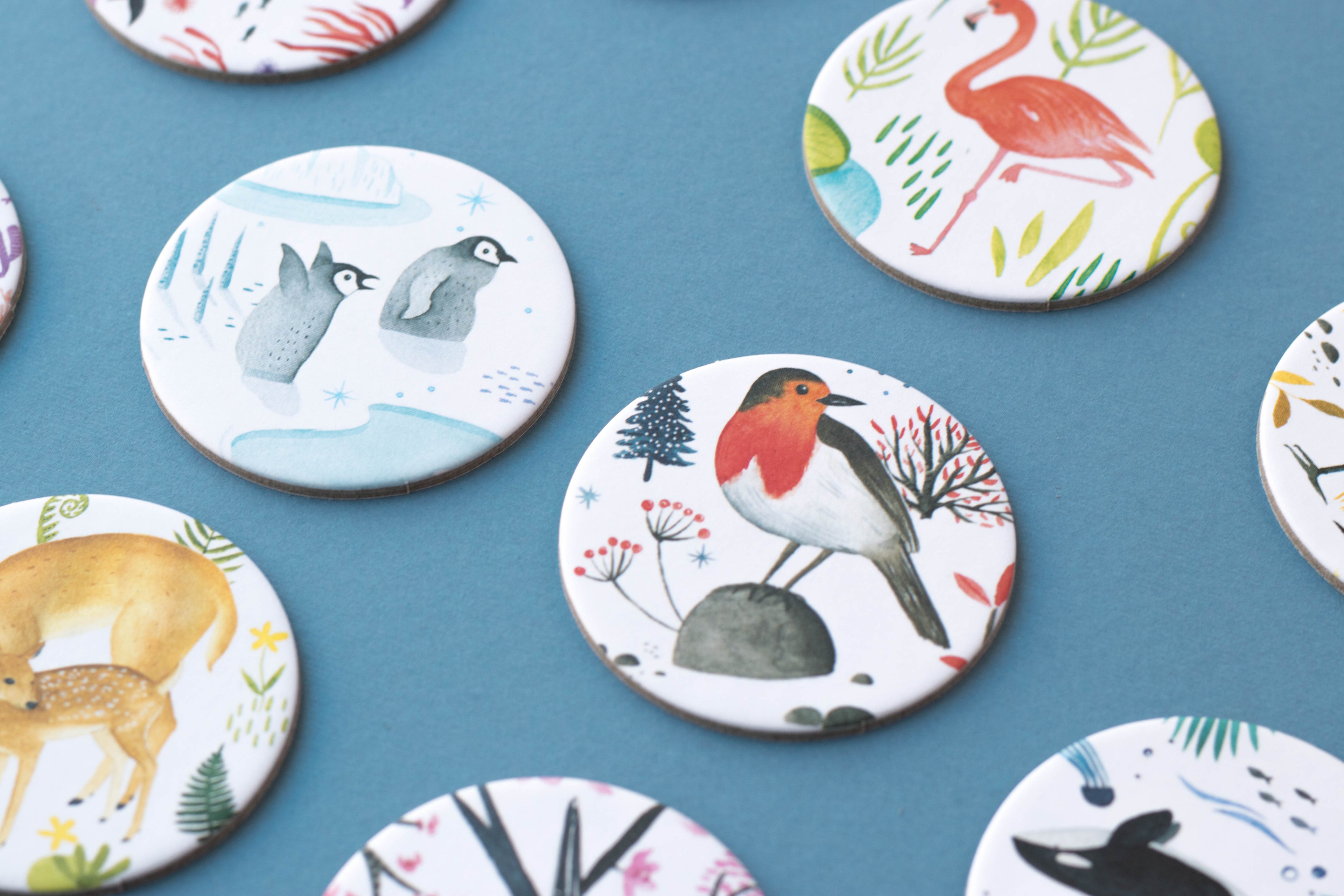 Memory - Vida Salvaje