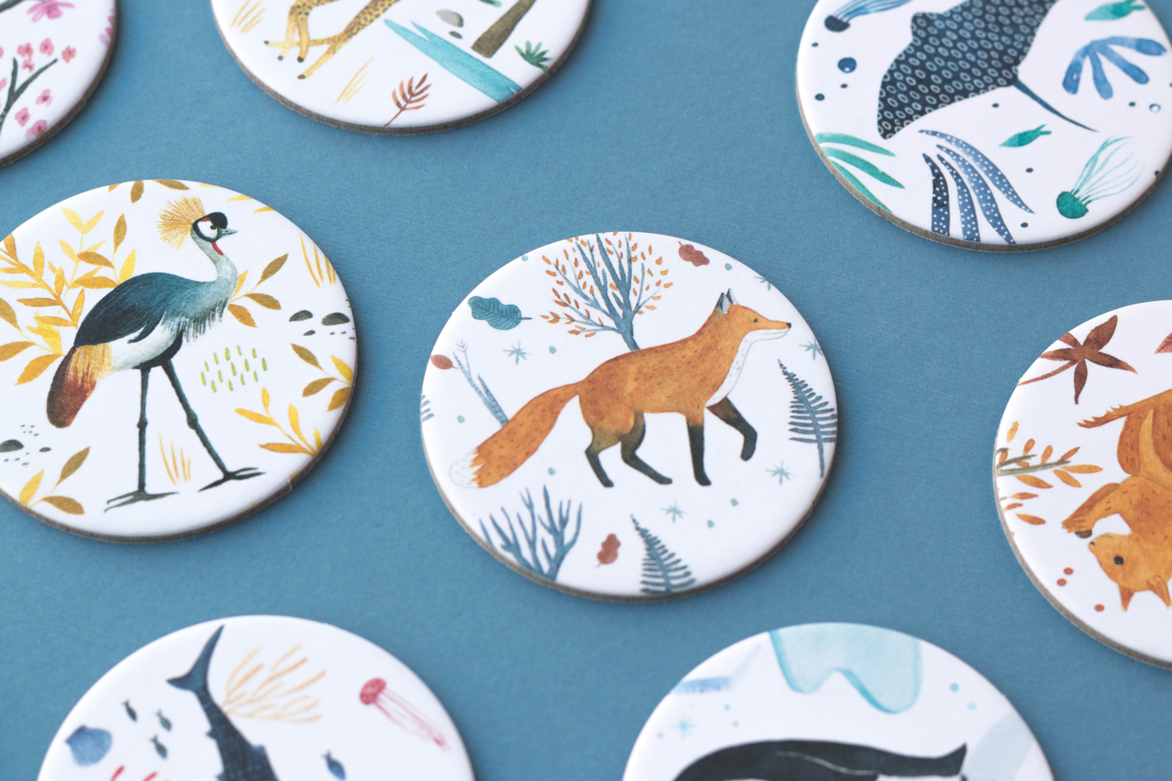 Memory - Vida Salvaje