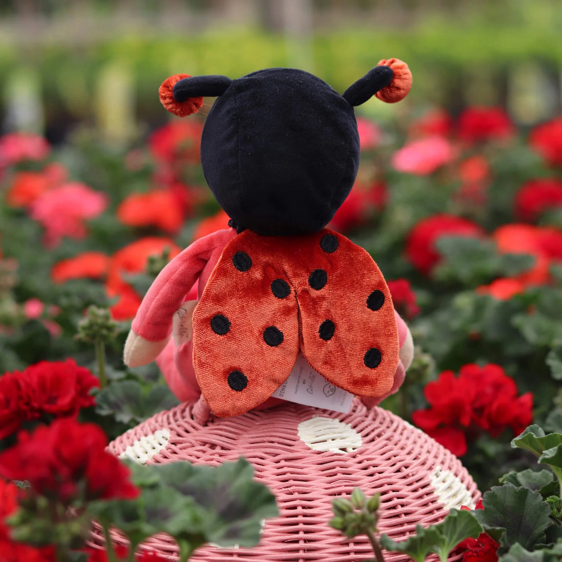 Dinky Dinkum - Amigos del Jardín - EDICIÓN LIMITADA - Lola Ladybug