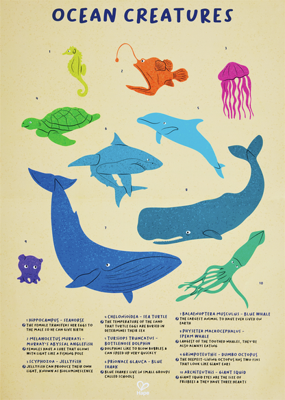 Puzzle de suelo Brillante - Ballena