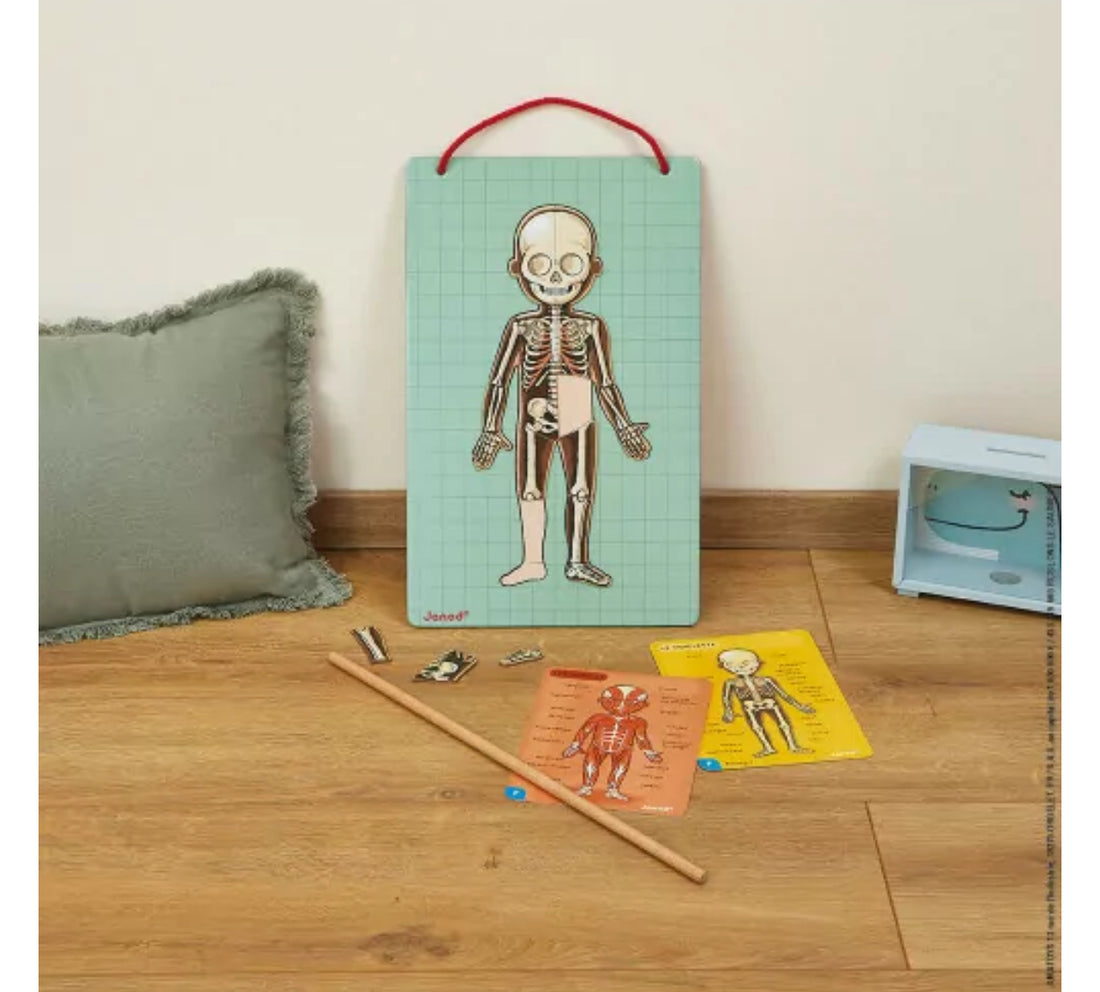 Bodymagnet - Cuerpo Humano en 12 idiomas