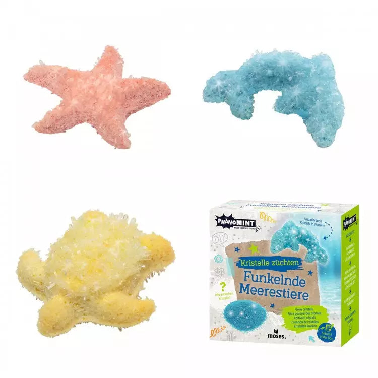 Creación de cristales - Animales marinos