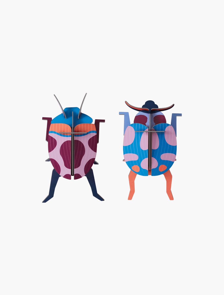 Escarabajo Coccinelle couple (set de 2)