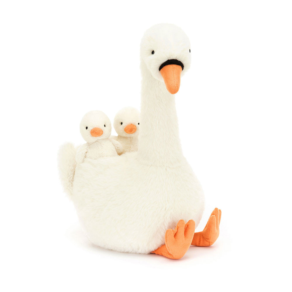 Cisne emplumado