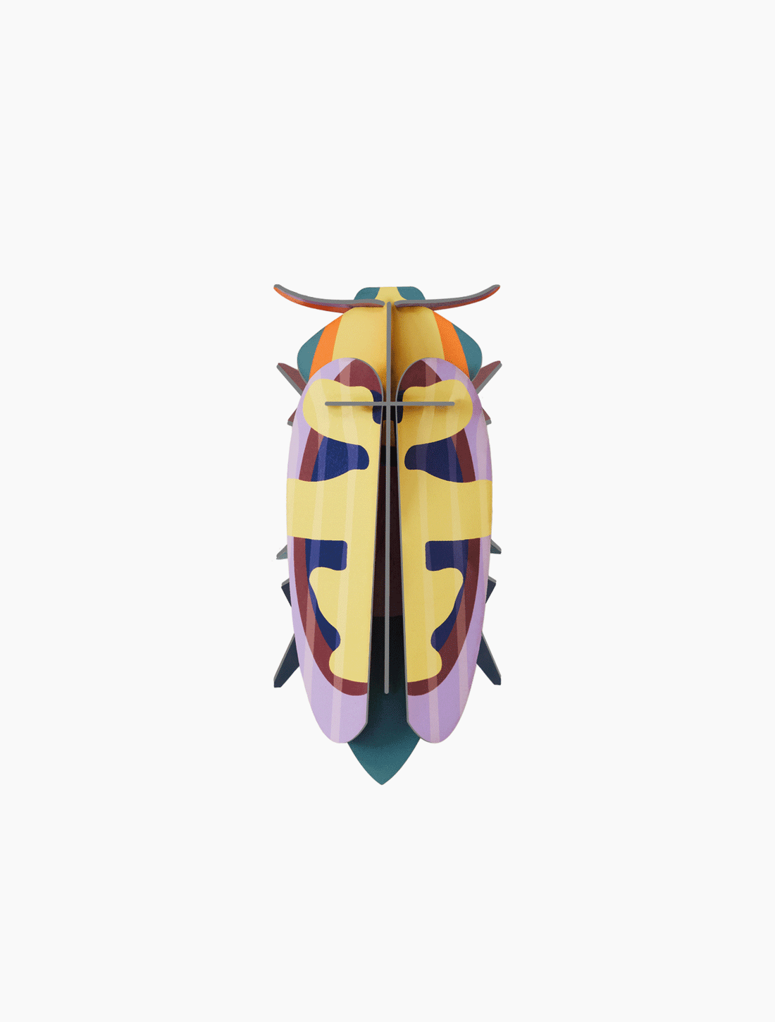 Escarabajo - Flor del mango