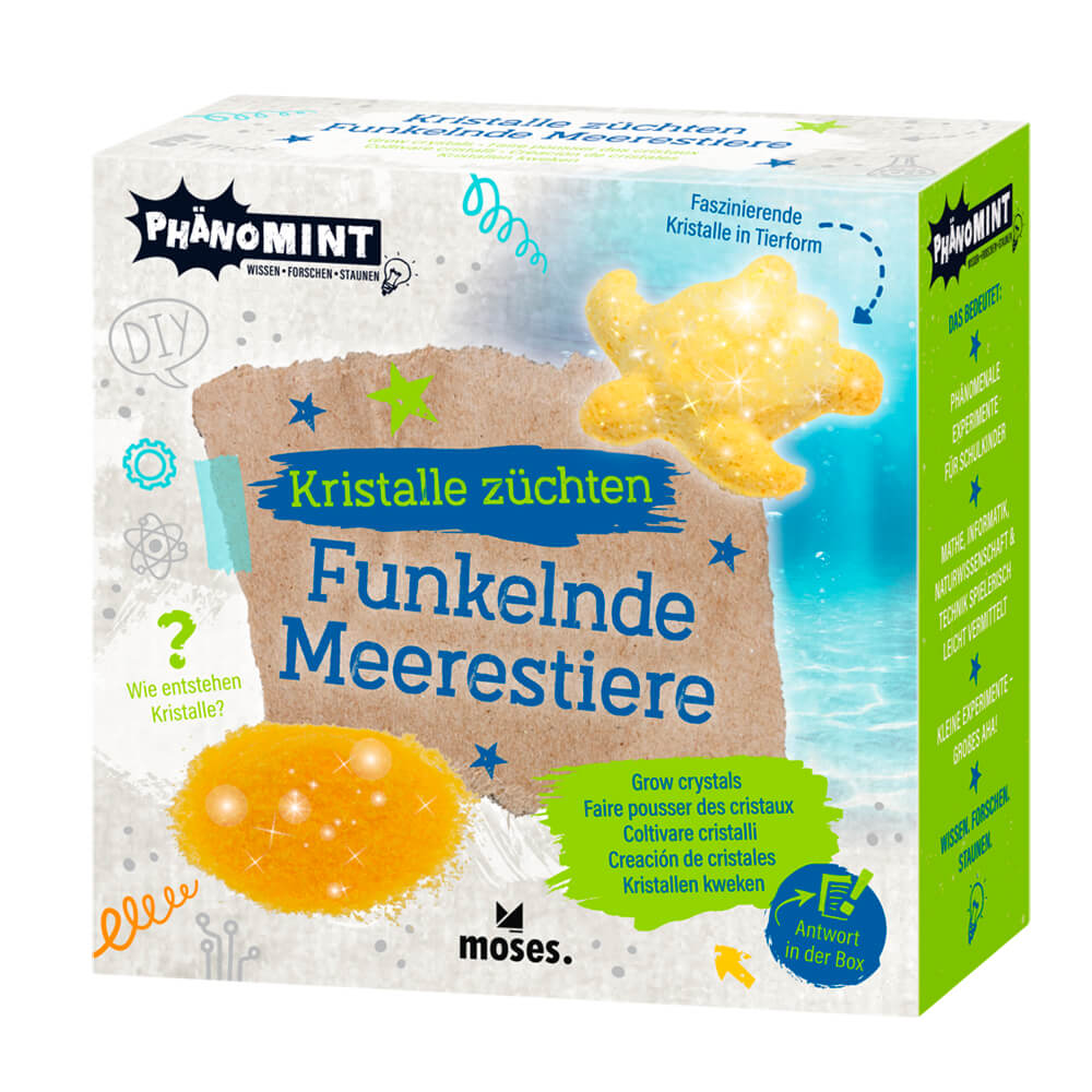 Creación de cristales - Animales marinos