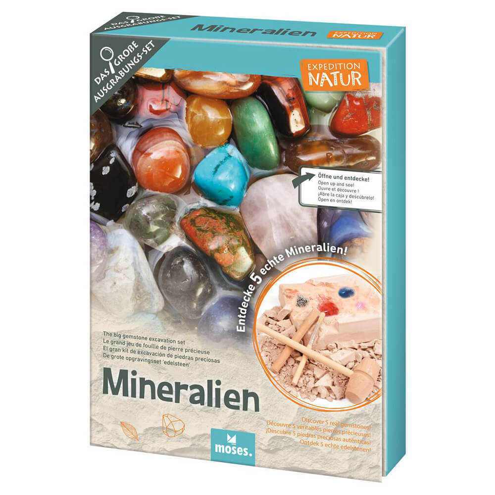 Set Excavación Minerales