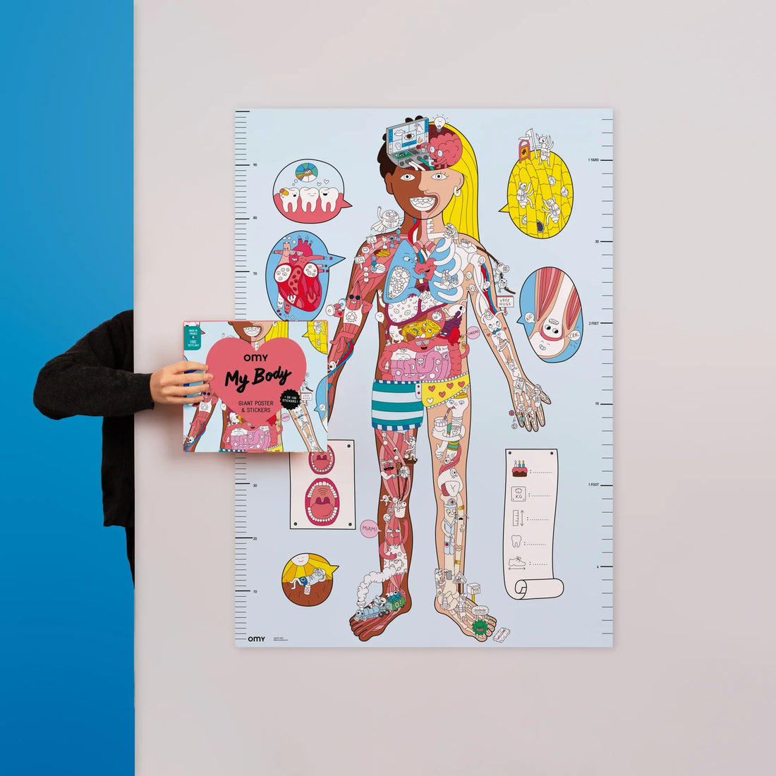 Poster XL para colorear - Busca y encuentra - El cuerpo