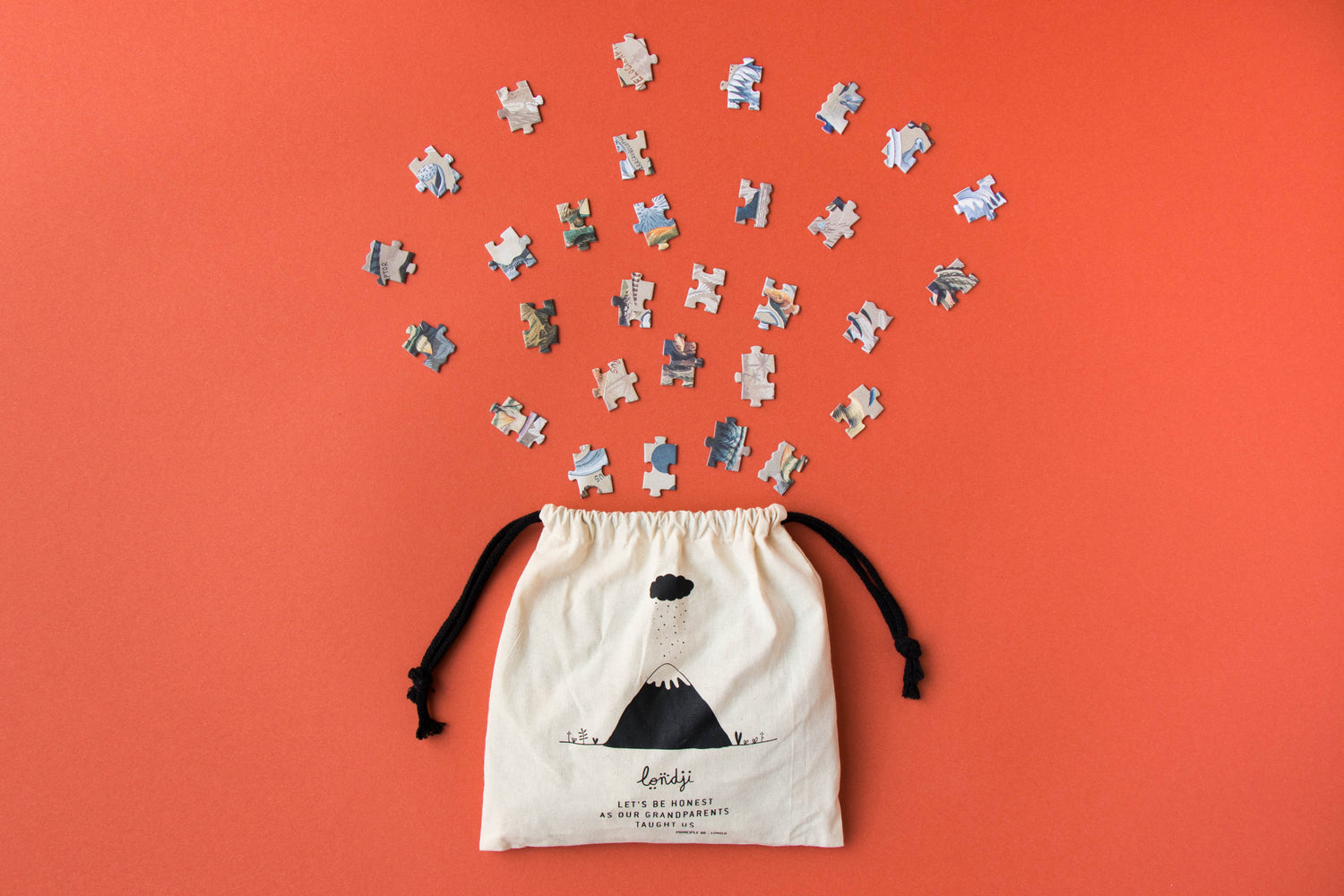 Puzzle - Explora Dinos