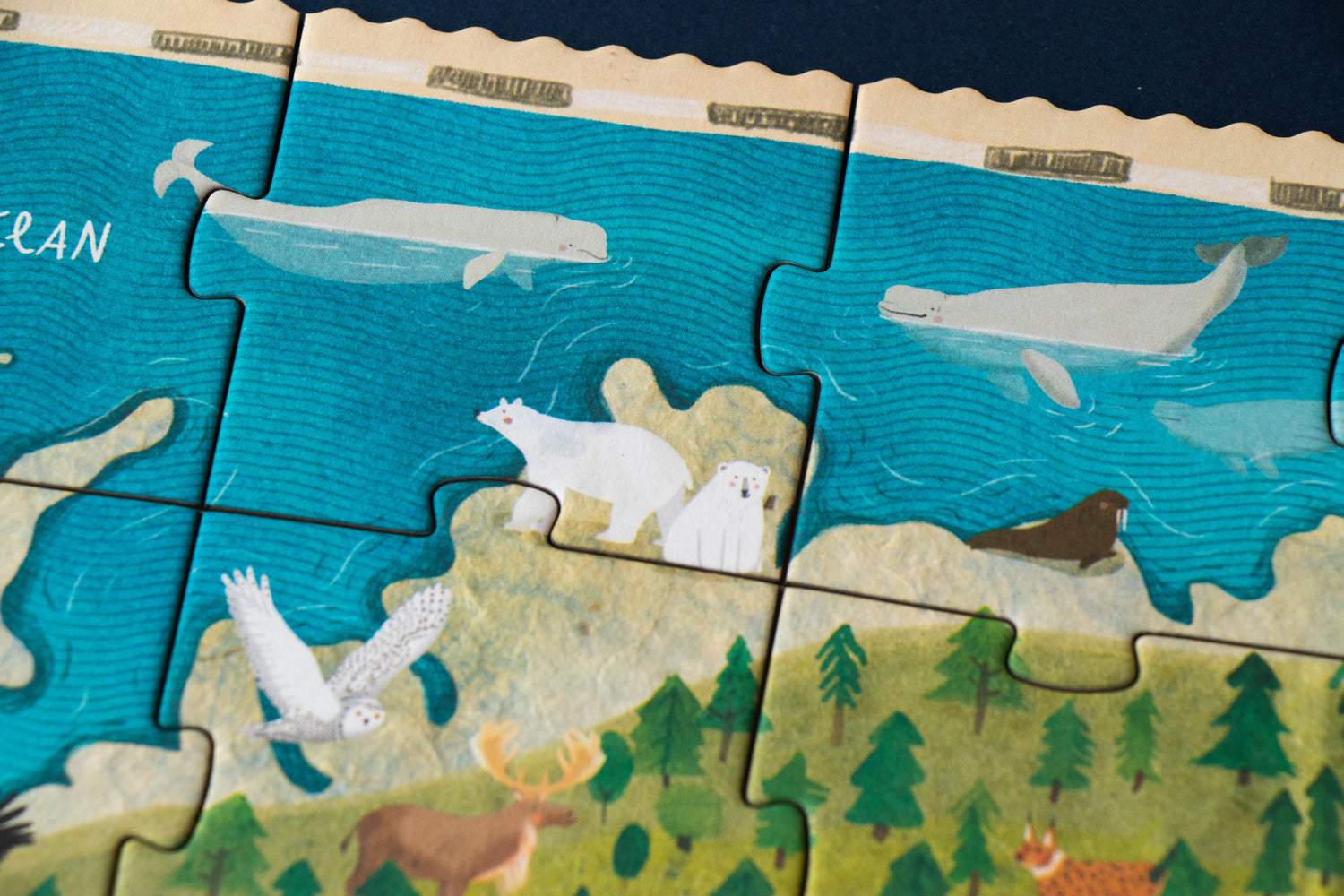 Puzzle - Los animales del Planeta