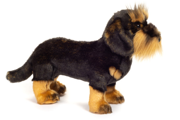Peluche - Perro Tejón
