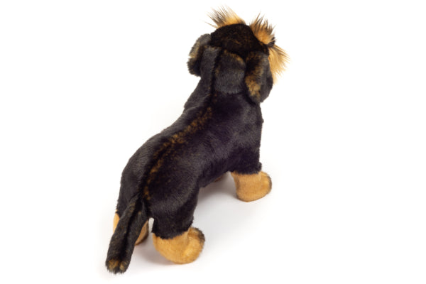 Peluche - Perro Tejón