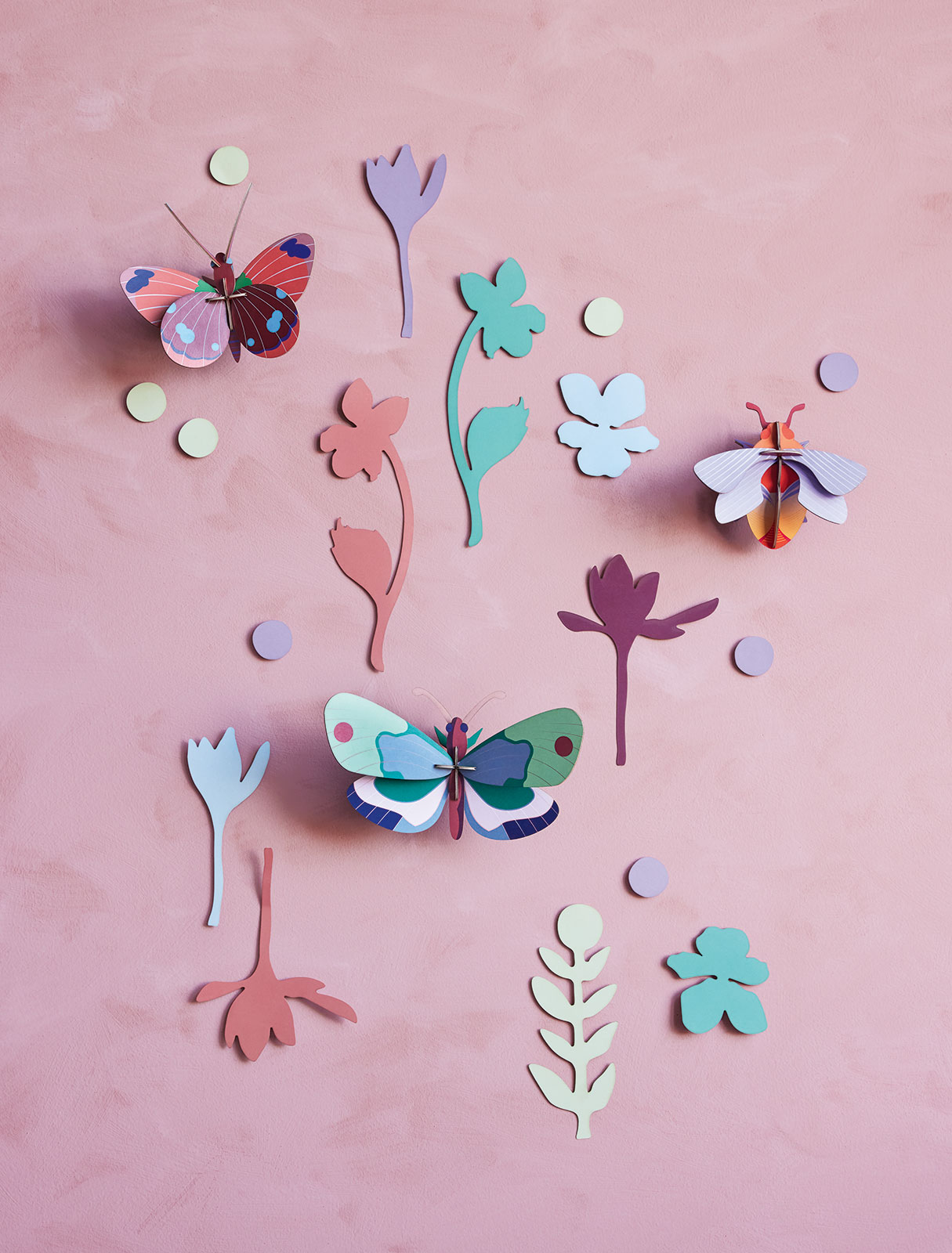 Mundo de curiosidades -Mariposas