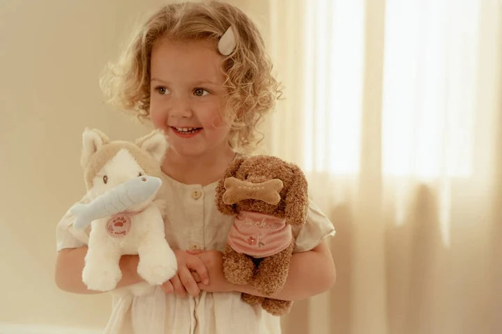 Perrito en transportín - Jackie