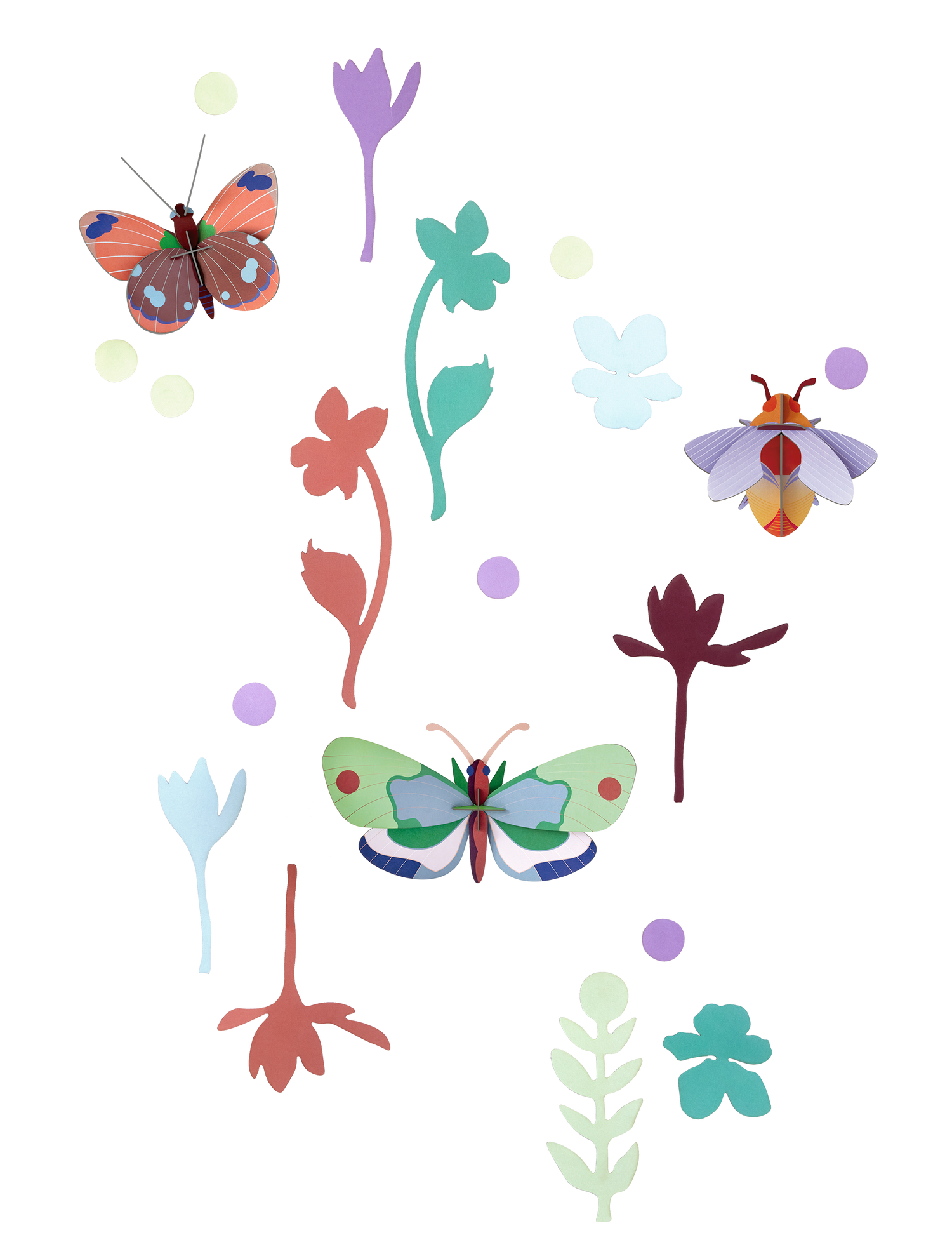 Mundo de curiosidades -Mariposas