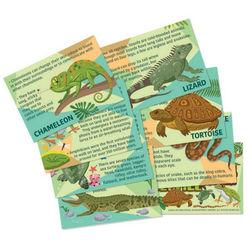 Moldea y pinta imanes - Reptiles y Anfibios