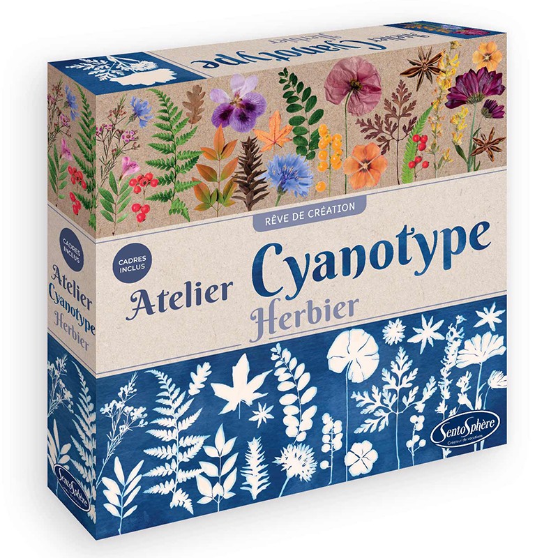 Taller de Cianotipia