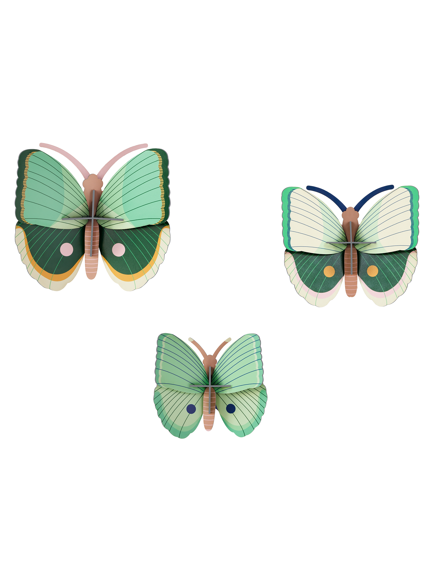 Set de 3 - Mariposas Rayas de Helecho