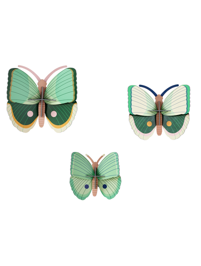 Set de 3 - Mariposas Rayas de Helecho