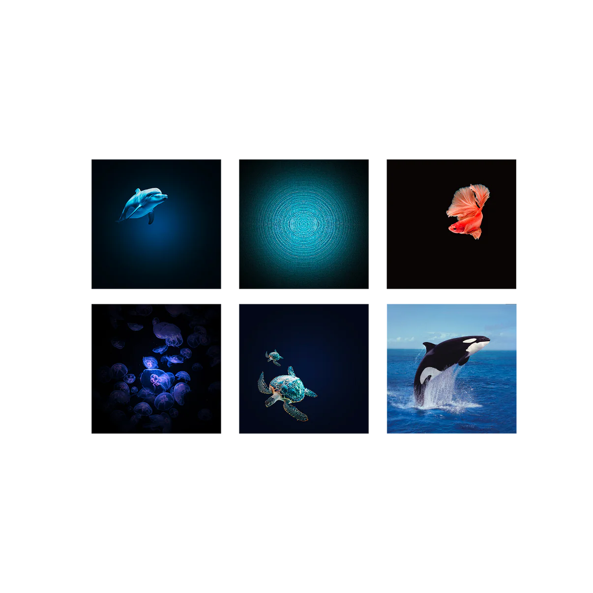 Proyector de Imágenes para Niños - KIDYSTAR Oceans