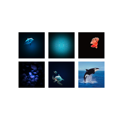 Proyector de Imágenes para Niños - KIDYSTAR Oceans