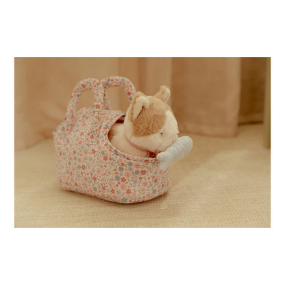 Gatito en transportín - Marley