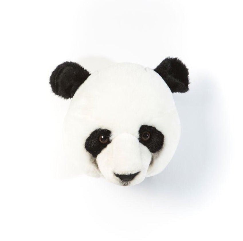 Cabeza - Oso Panda - Casa de Fieras