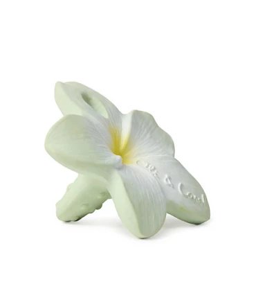 Flor de Hawai menta - Mini mordedor - Casa de Fieras