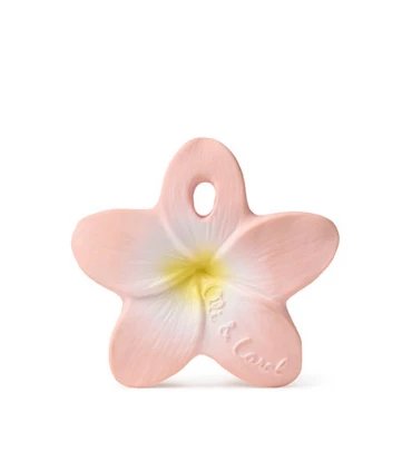 Flor de Hawai Rosa - Mini mordedor - Casa de Fieras