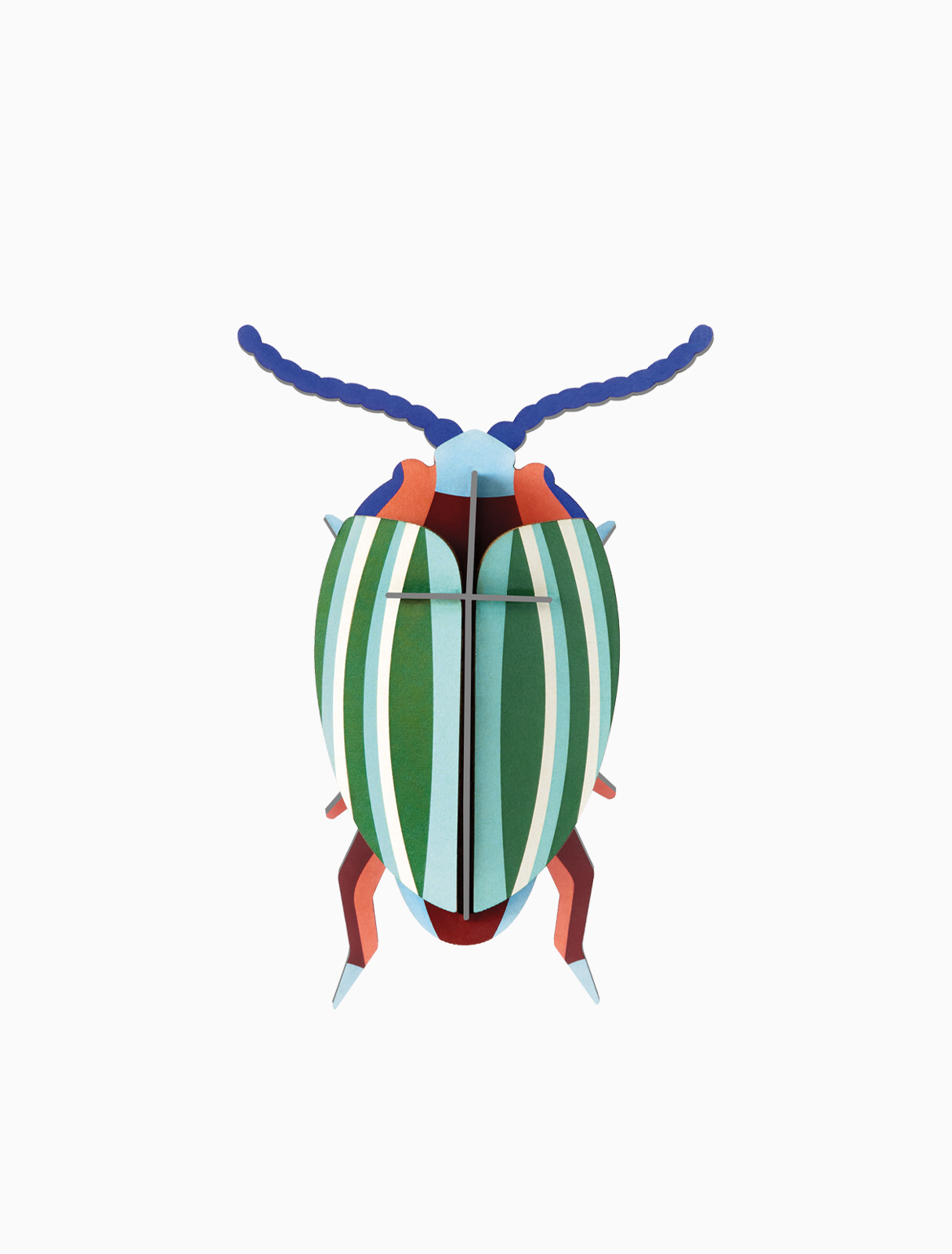 Escarabajo de hoja arcoíris