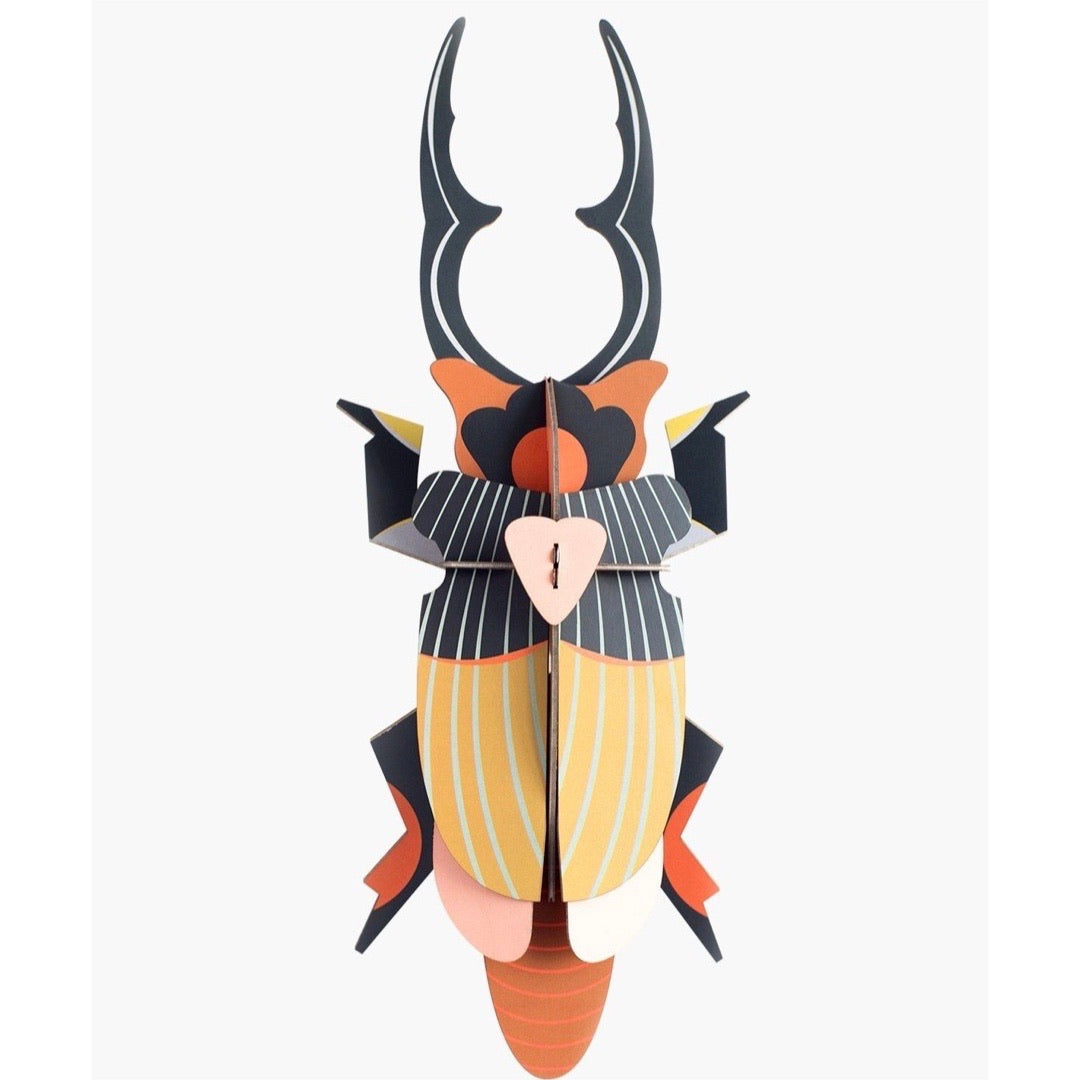 Escarabajo Ciervo (grande)