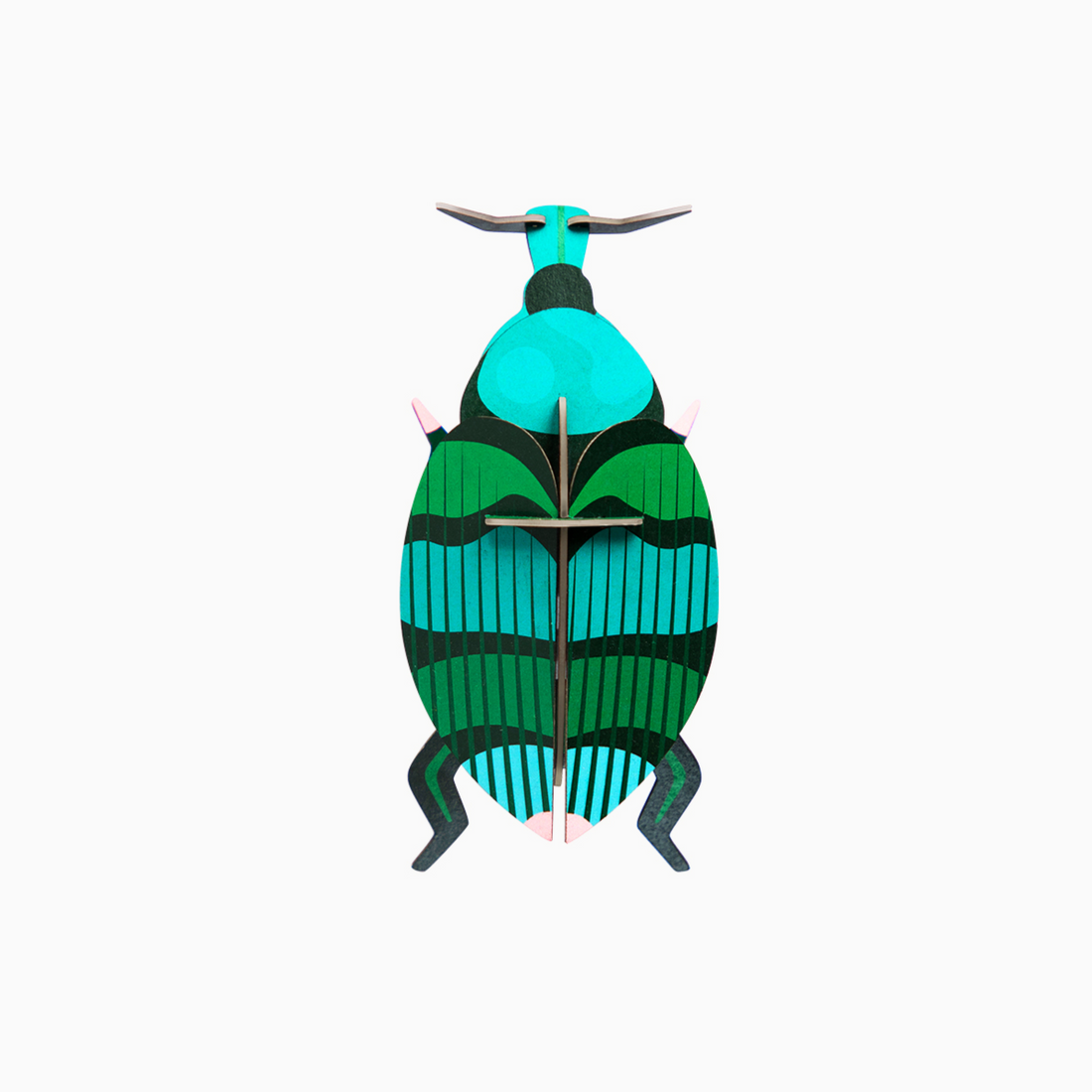 Escarabajo Gorgojo