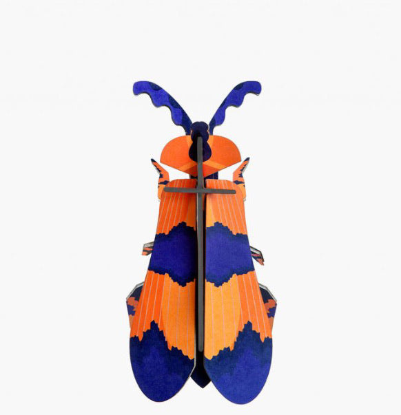 Escarabajo Alado