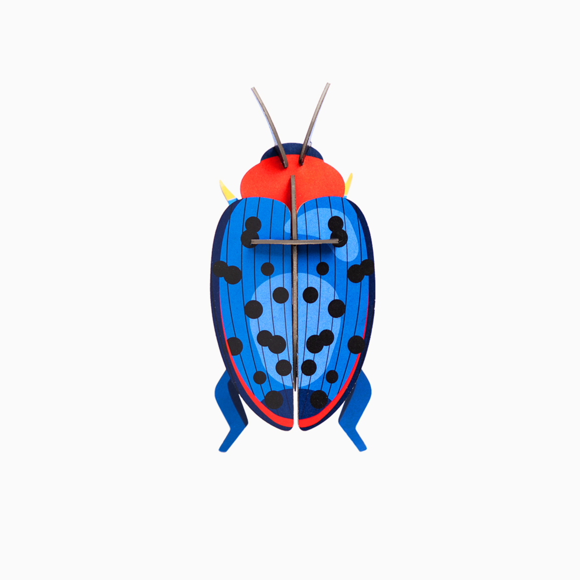 Escarabajo Hongo