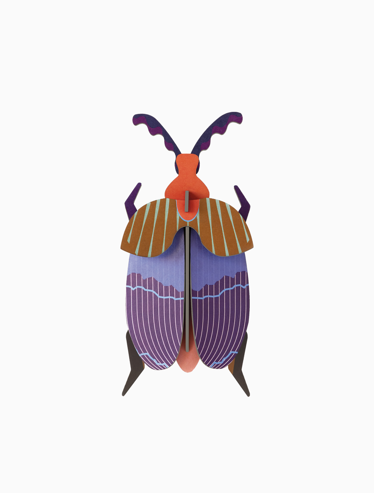 Escarabajo Reina