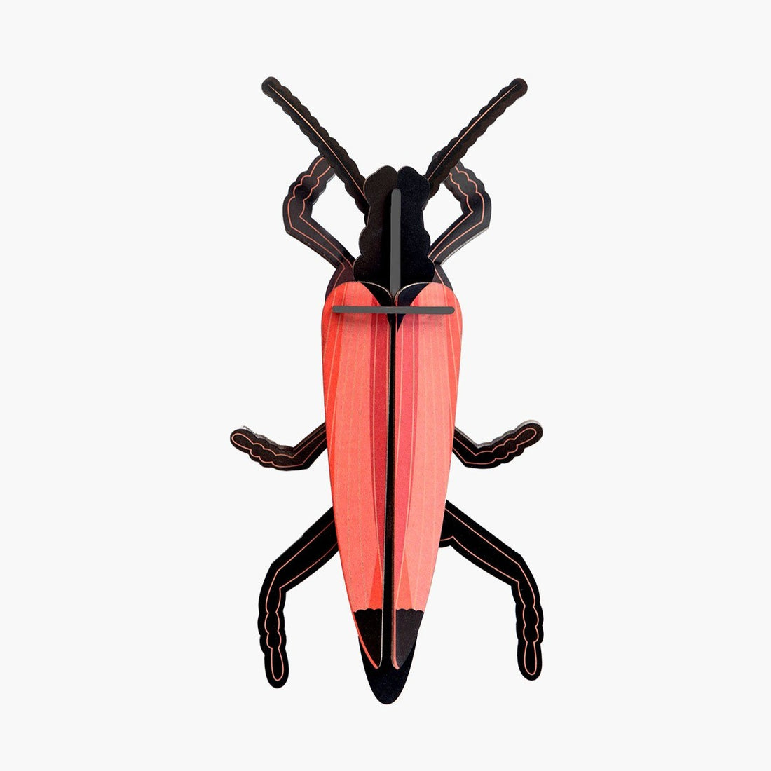 Escarabajo de cuernos largos