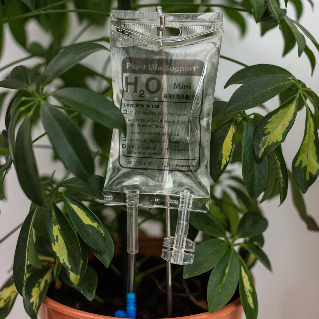 Riego por goteo de plantas Mini (100 ml) - Casa de Fieras