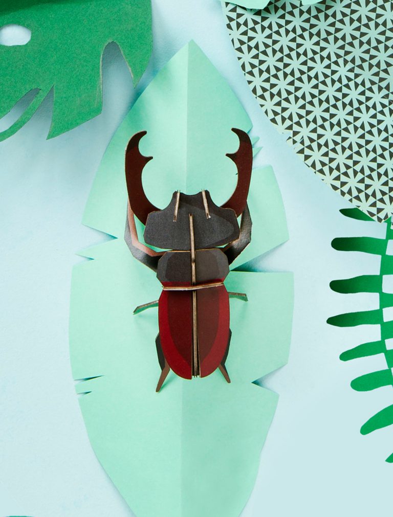 Escarabajo Ciervo