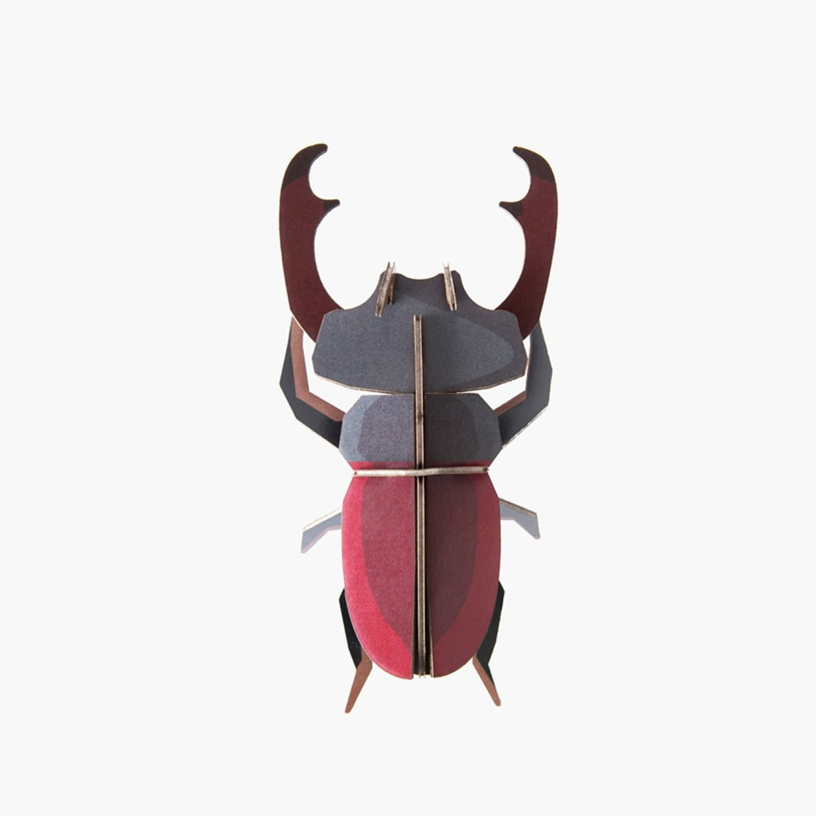 Escarabajo Ciervo